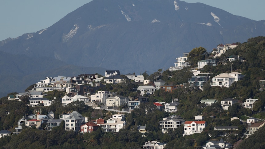What happens if property prices drop 20pc? Ask New Zealand or Canada