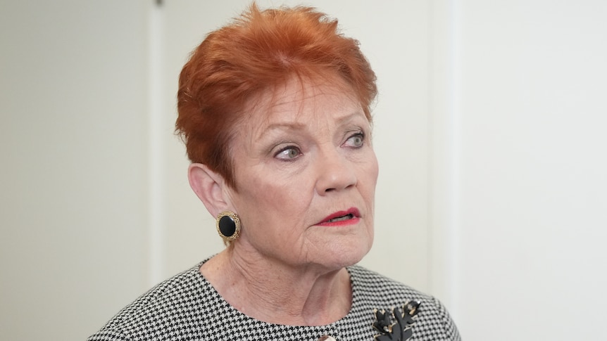 Pauline Hanson is backing WA on the GST, but she hasn't always