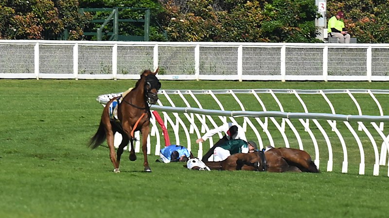Why the inquiry into Caulfield Cup horse death must be made public
