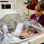 TLR2 links inflammation to neonatal heart regeneration, mouse study finds