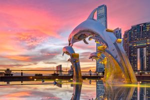 Dolphin Sunset in Hong Kong
