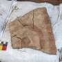 Ancient Austronesian seafarers carried symbolic art 4,000 years ago
