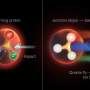 Gluons may play a central role in baryon number conservation—and matter's stability