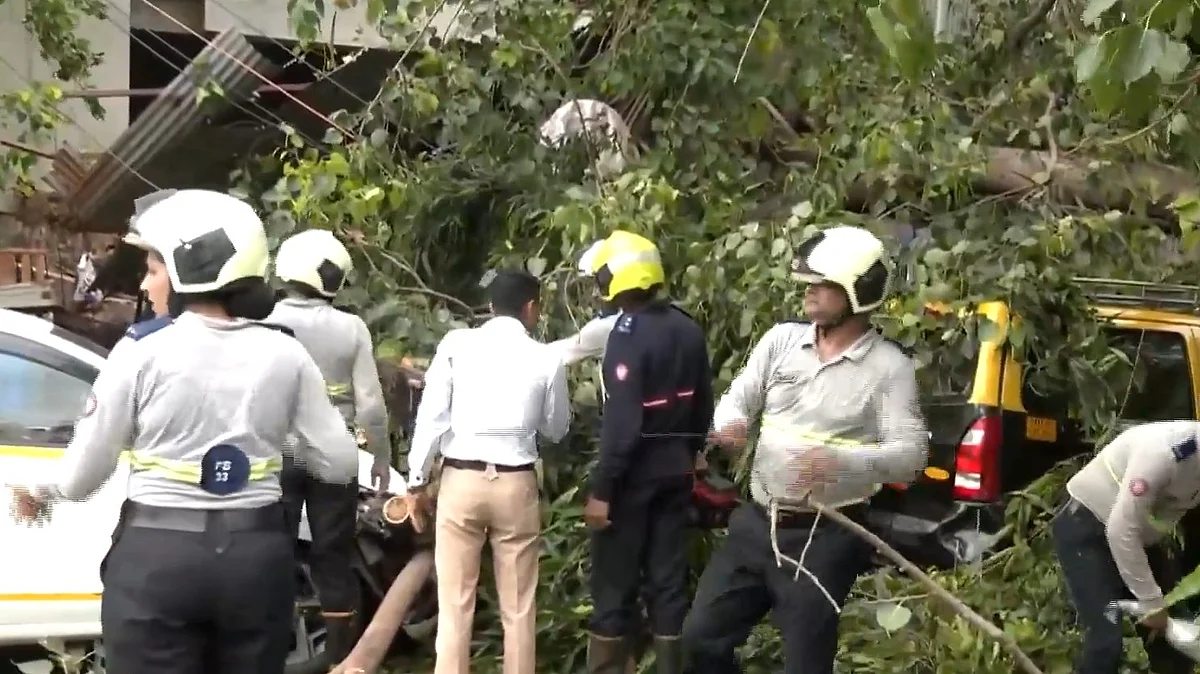 Churchgate Tree Fall: 2 Injured, 4 Vehicles Damaged After Peepal Tree Collapses Near Metro Station