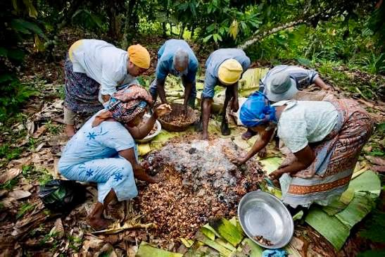 Cocoa Hubs Project advances gender mainstreaming in rural agricultural service delivery