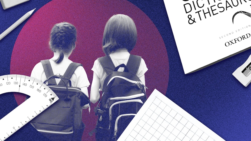 NAPLAN results explained: What parents should know