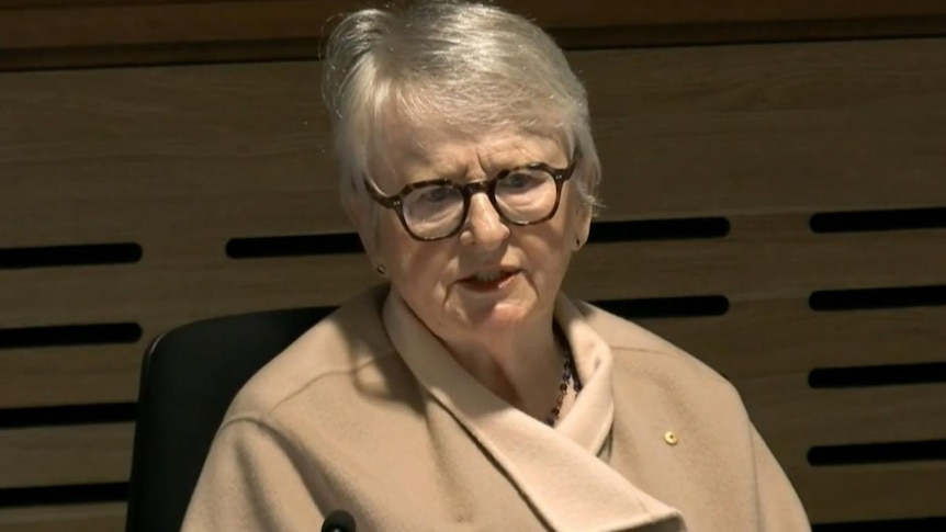 Commissioner rebukes claim pro-Palestinian groups tried to 'hijack' hearing