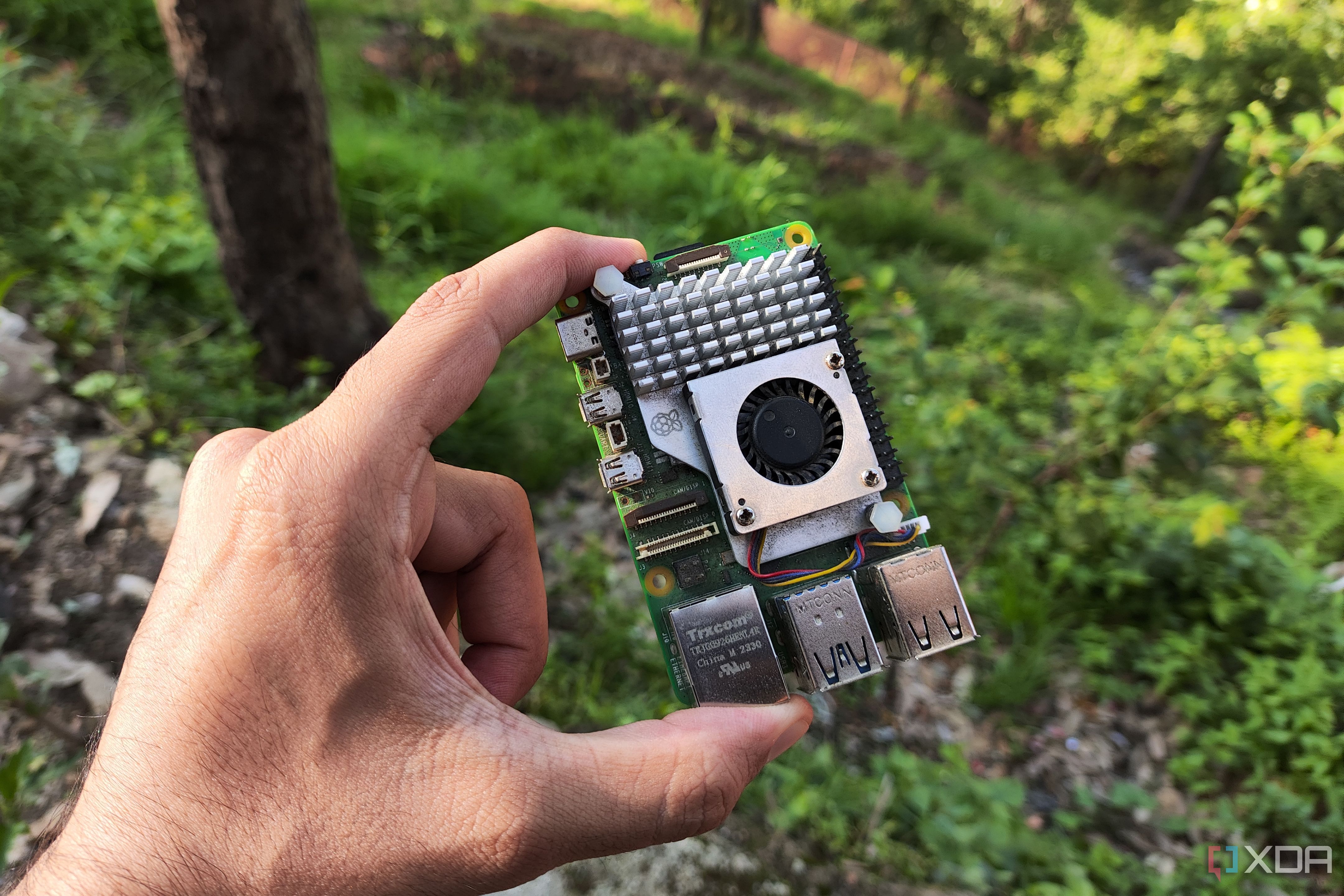 My Raspberry Pi quietly replaced a year of subscriptions I spent hundreds of dollars on
