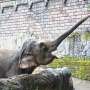 Are zoos ready for the changing climate?