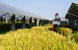 Dual-Use Farms