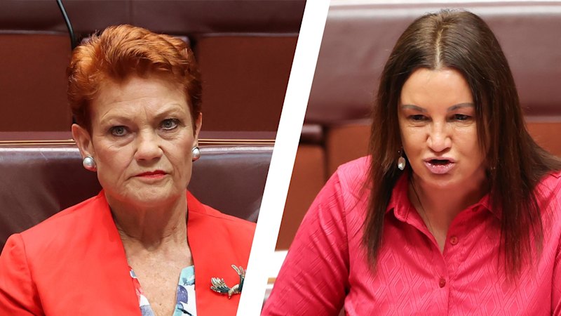‘Enough is enough’: Lambie slams Hanson’s latest crass cartoon attack