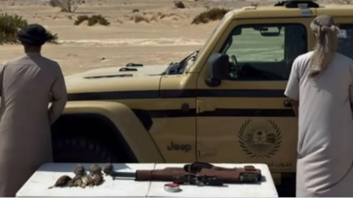Two arrested for illegal hunting without license in Madinah region