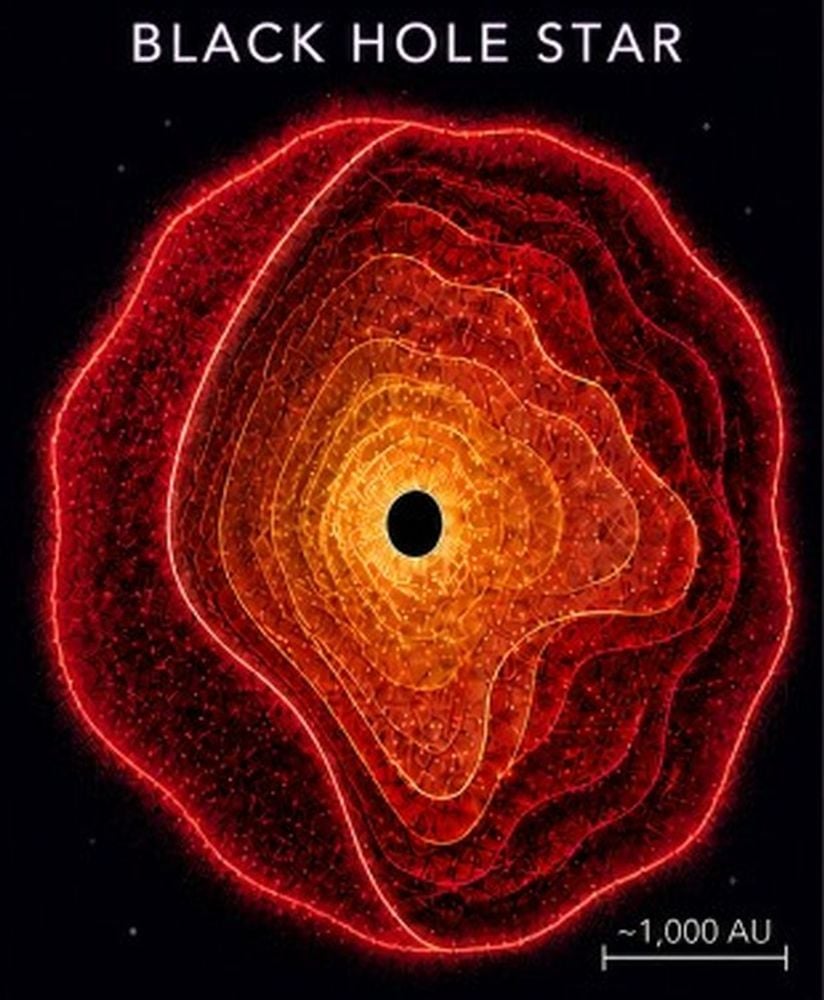 The JWST Little Red Dots Could Be 'Black Hole Stars'
