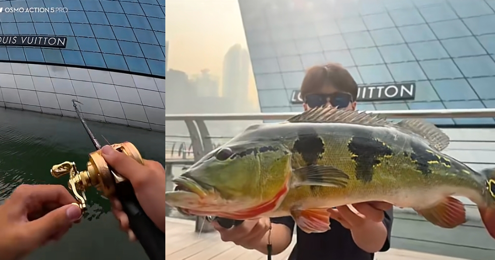 2 youths catch fish at prohibited area outside Louis Vuitton Island store at Marina Bay Sands