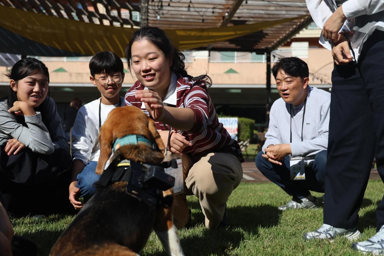Gov't, businesses team up to help retired detection dogs find new homes