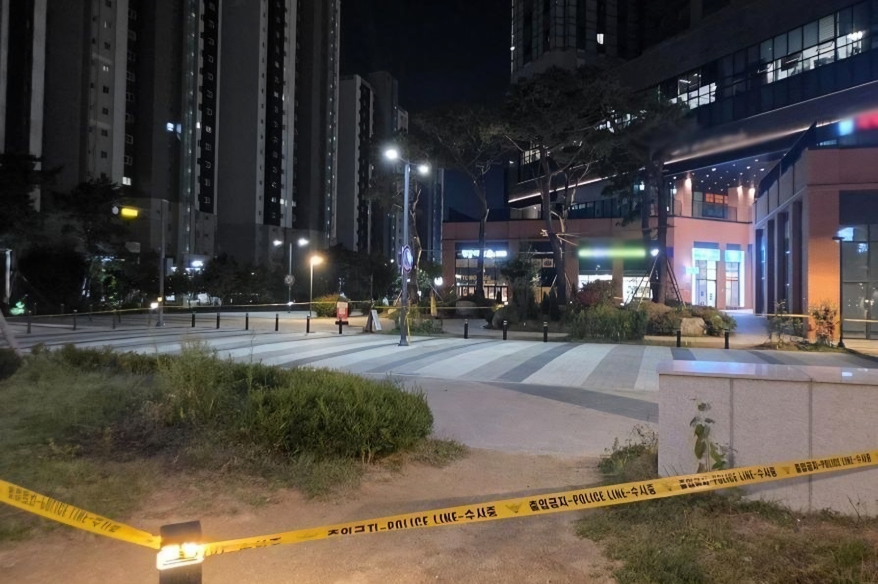 Woman in her 30s caught after throwing dishes from high-rise apartment
