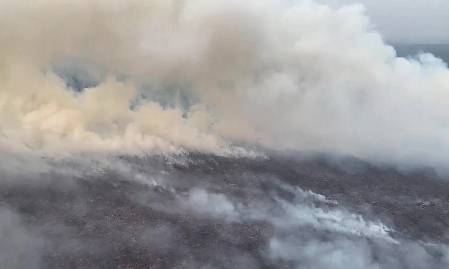 Indonesia records over 283,000 respiratory illness cases amid forest fires
