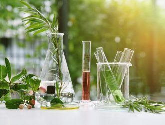 Is there a hidden bias in how researchers select which species to study?