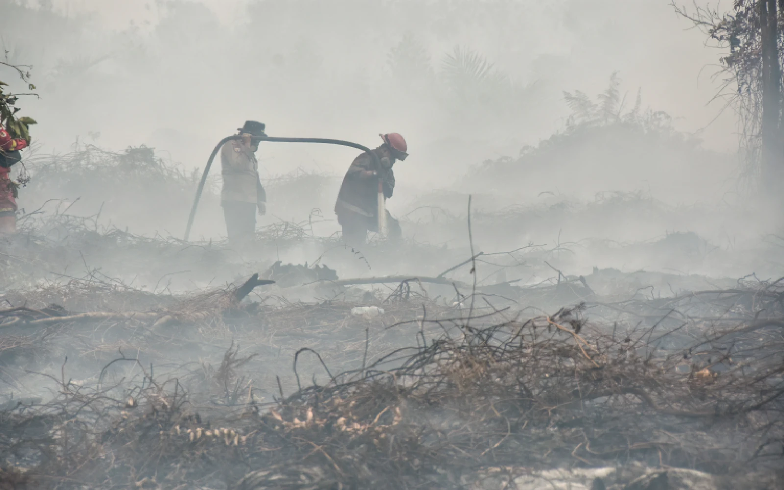 Indonesia puts offers by Malaysia, others to help fight forest fires on hold