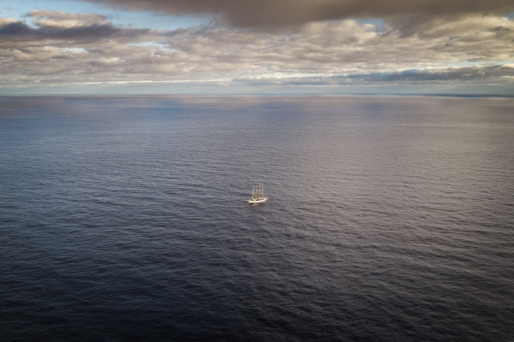 Madeira’s marine reserves offer hope for ocean conservation, scientists say