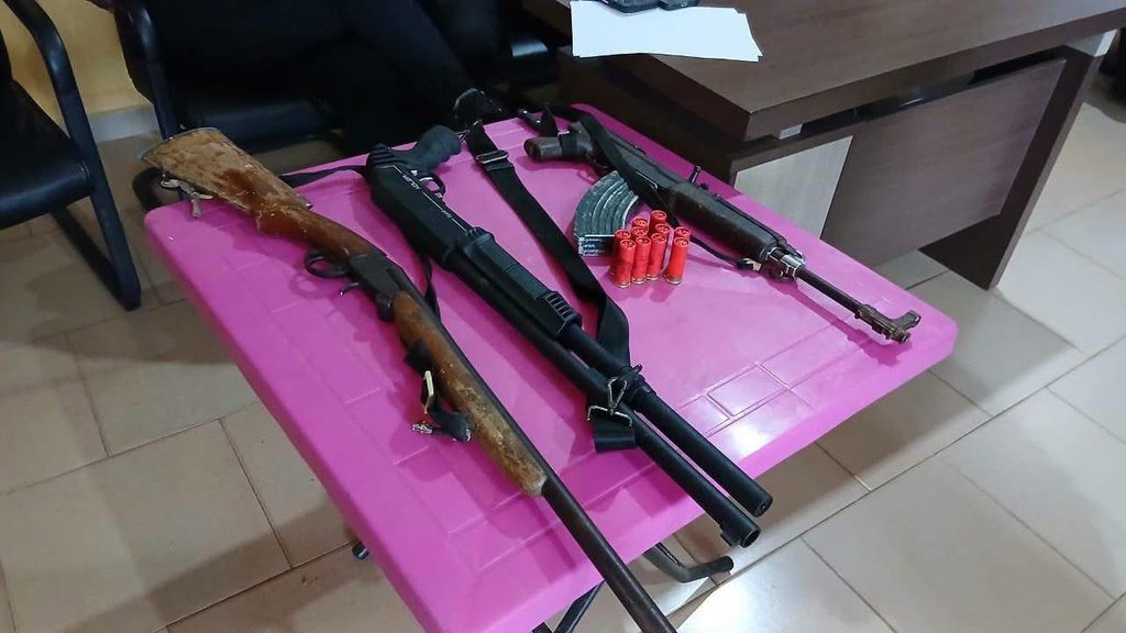 About 200 firearms seized from illegal miners – Mahama