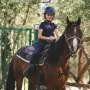 Horse-assisted therapy linked to lower stress in children with autism, study finds