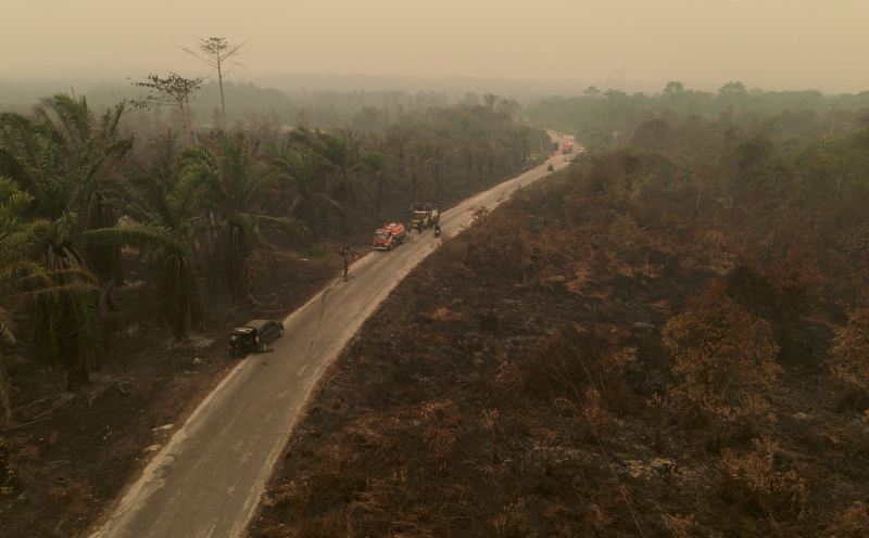 Haze: Indonesia puts offers from Malaysia, others to combat forest fires on hold