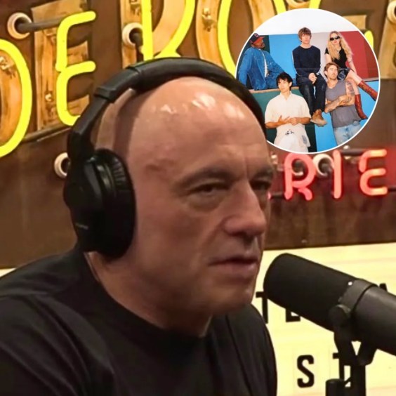 Joe Rogan: “What Is Turnstile?”