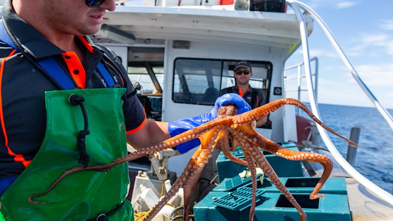 Putting the state’s best on the plate: both in WA and further afield