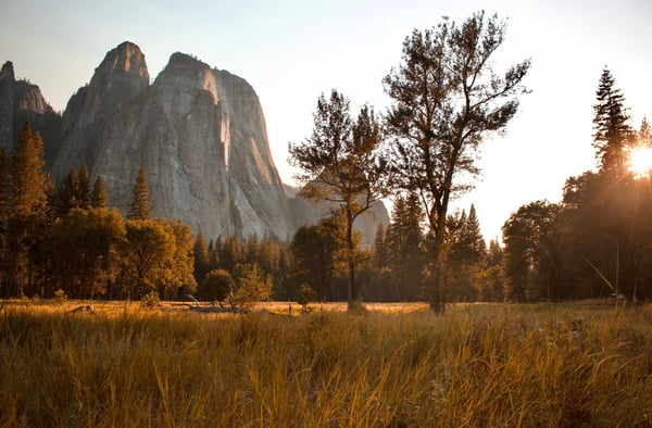 The 8 best national parks to visit in fall 2026, ranked