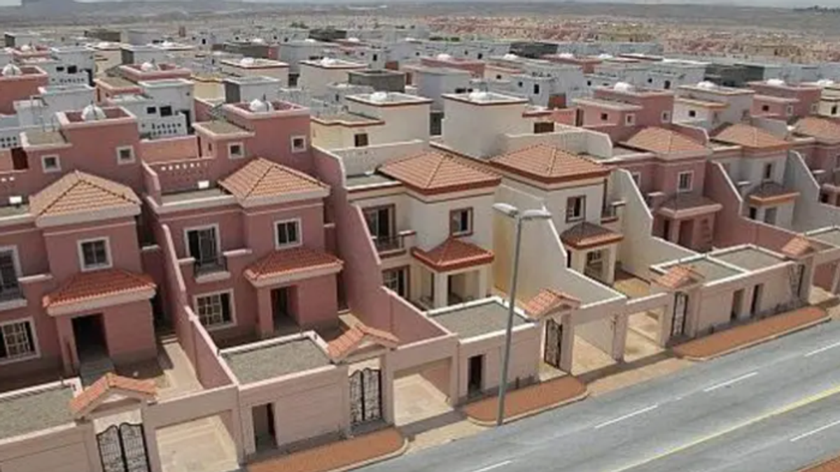 Construction sector drives growth in related industries, academic says