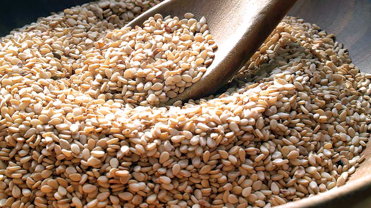 ITC begins Benue assessment to boost cowpea, sesame exports