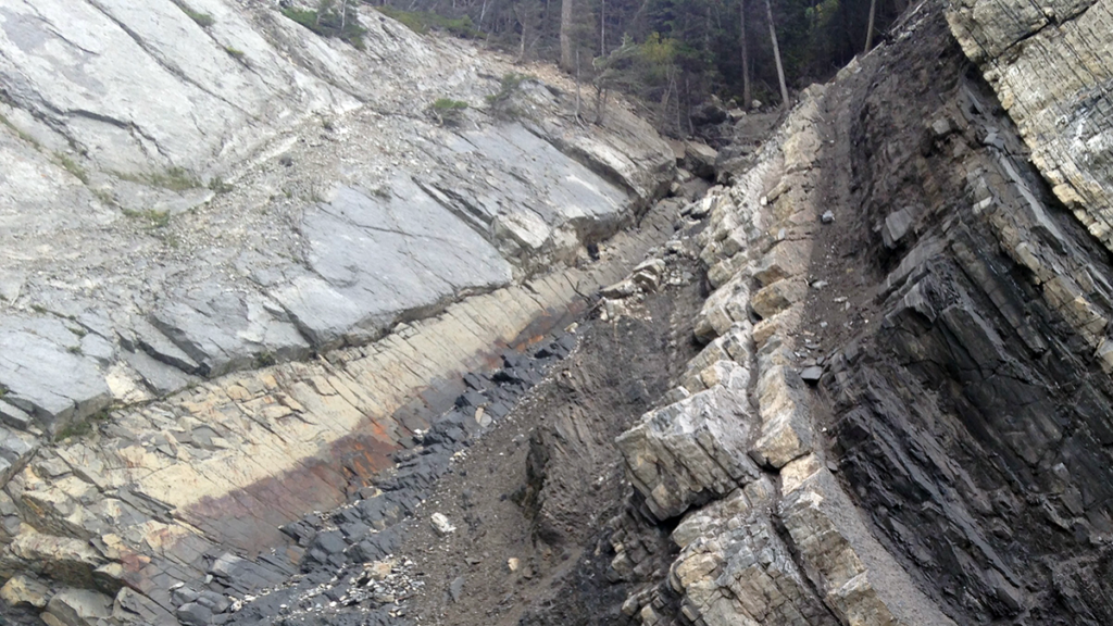 Biosignatures Extend Robustly into the Top Kilometer of Sedimentary Basins