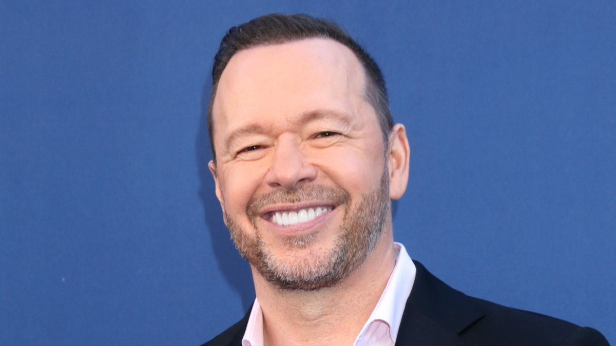 Donnie Wahlberg Unscathed After Private Jet Skids Off Las Vegas Runway
