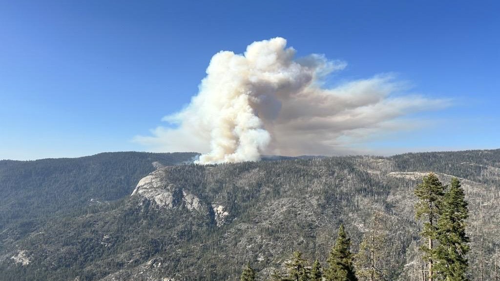 Let Yosemite Burn