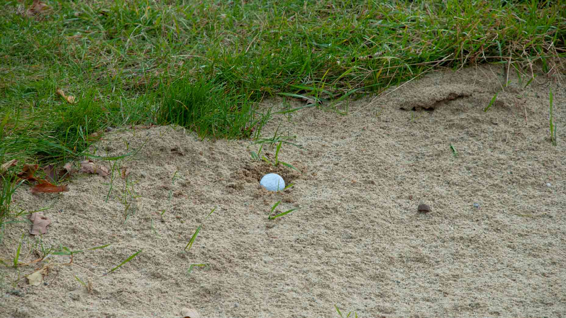 5 tricky lies every golfer should know how to handle