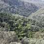 How rugged gullies protect hidden rainforests in the Greater Blue Mountains