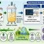 Engineered E. coli convert kimchi radish waste into biodegradable bioplastic