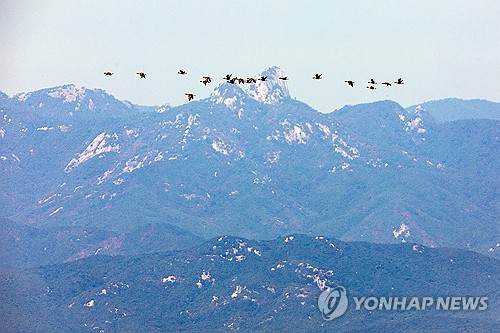 Key gov't-led DMZ projects remain stalled as UNC denies clearance over safety risks