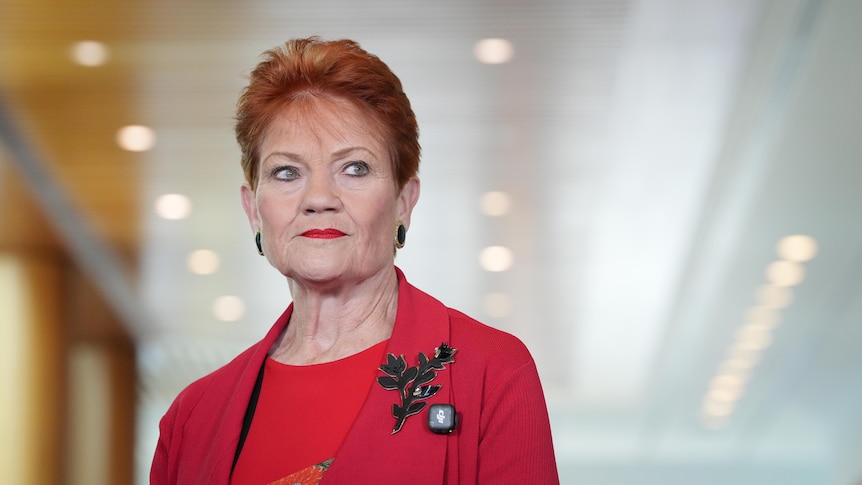 Hanson apologises for cartoon mocking Lambie's vaginal prolapse