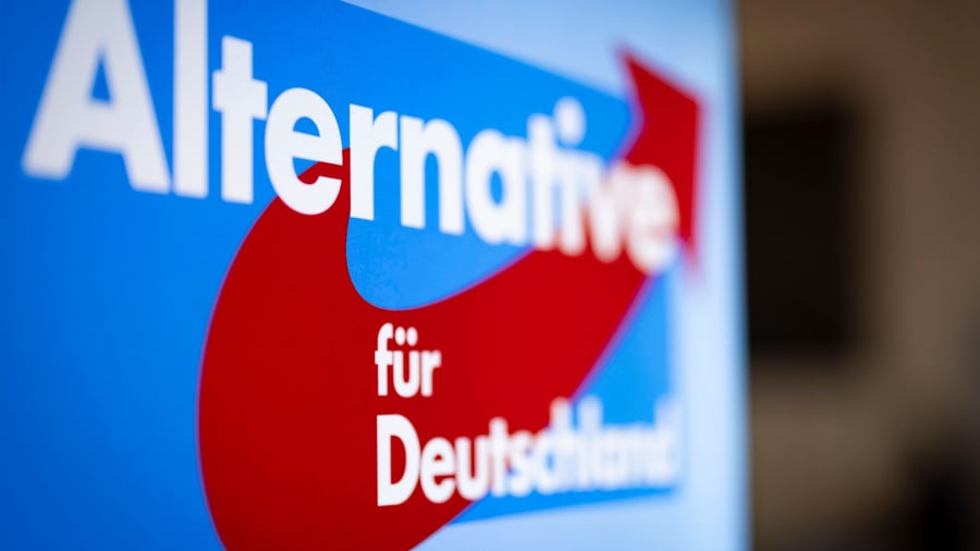 Parties: Hacker attack on email accounts of AfD