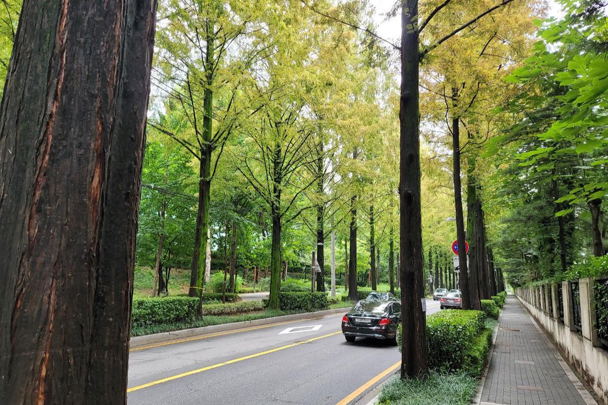 Seoul spreads nighttime attractions across all 25 districts