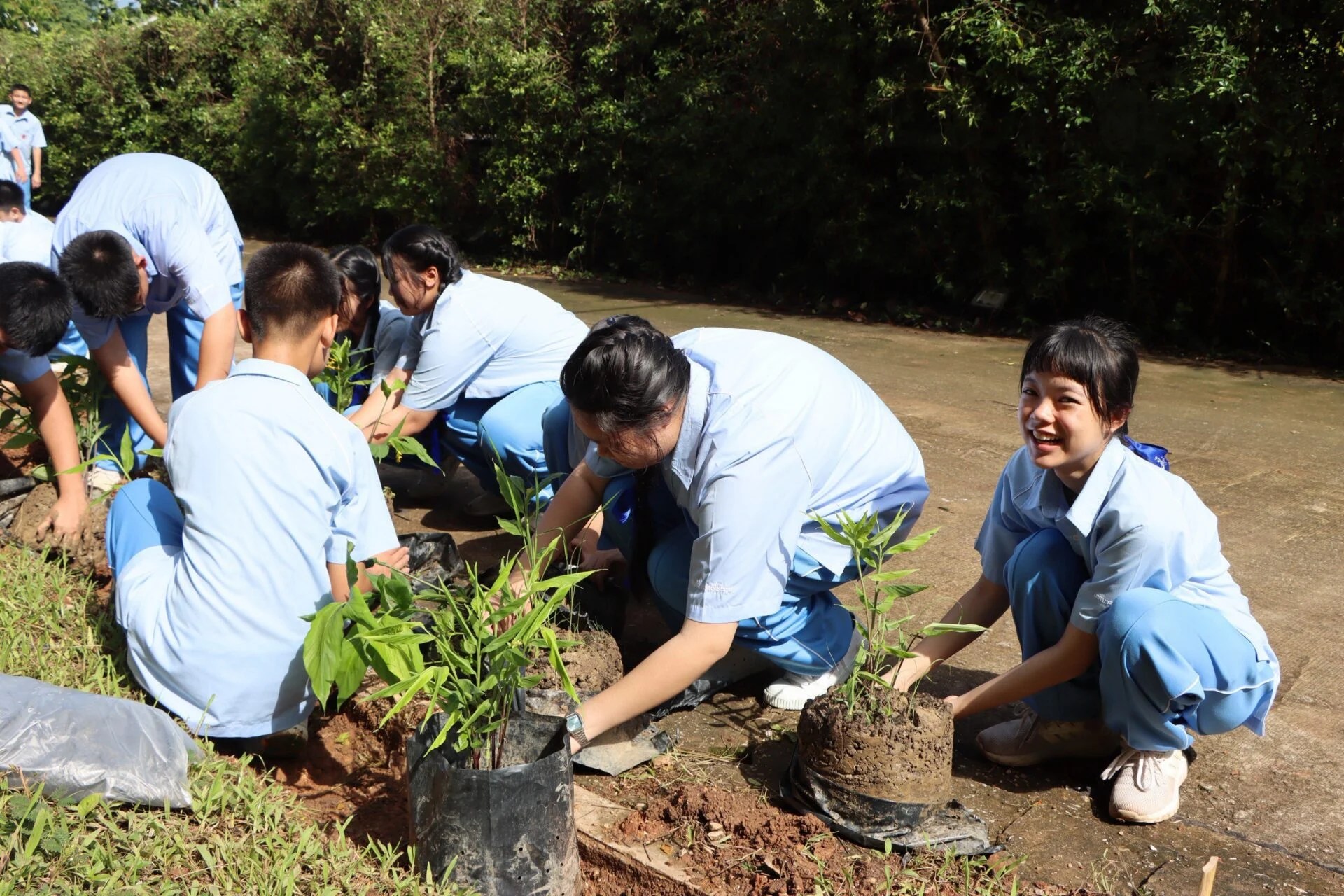 Chiang Rai’s Youth Turning Forests into PM 2.5 Defense