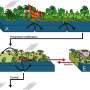 Ancient wildfire study offers warning for a warming world