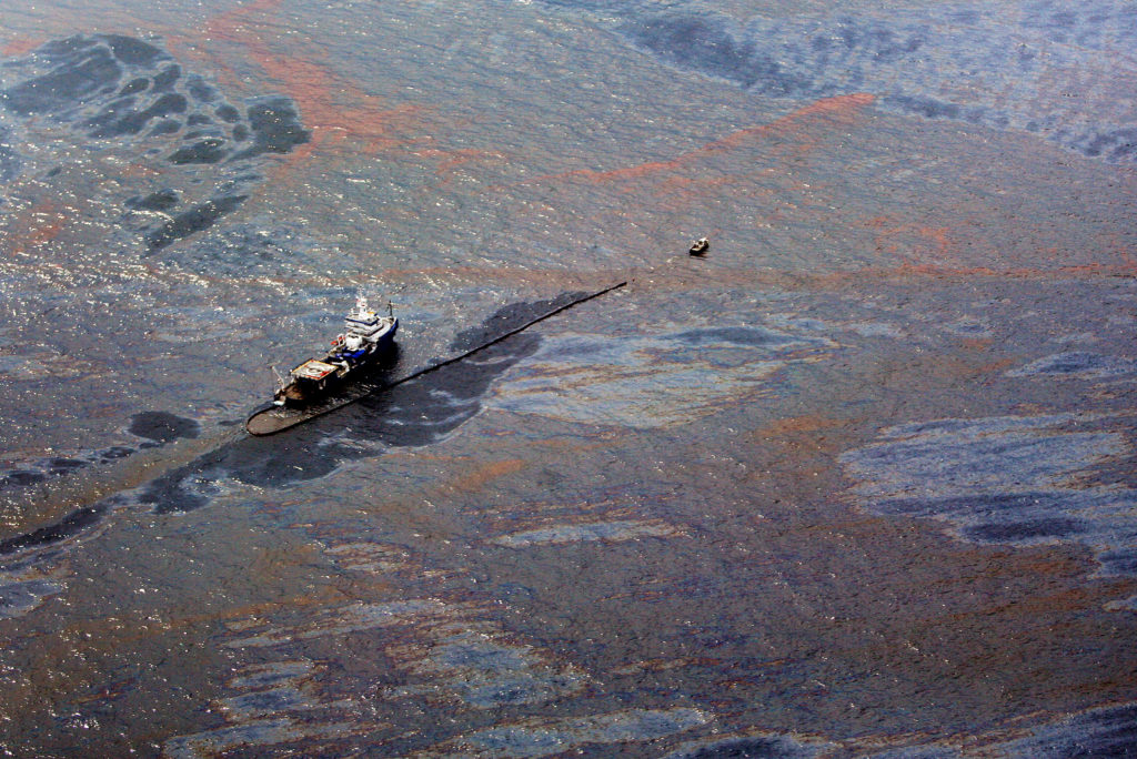 Marine life dramatically declined in Gulf of Mexico in years after BP oil spill, study finds