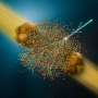 Oxygen collisions show evidence of jet quenching, a signature of early-universe matter