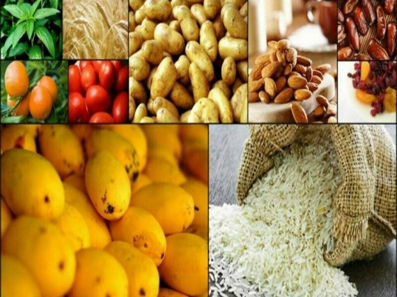 Food supplies committee: Punjab prepares proposals to amend rules, ToRs