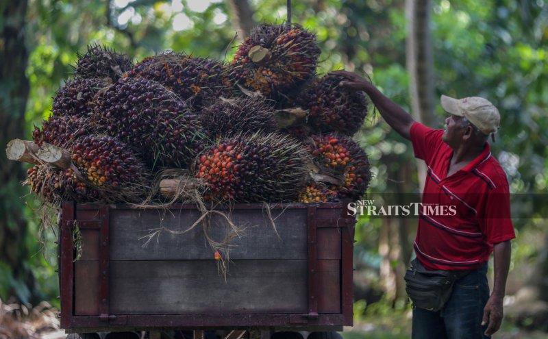 Malaysia mulls CPO tax waiver as palm oil stocks hit record 3.5mil tonnes