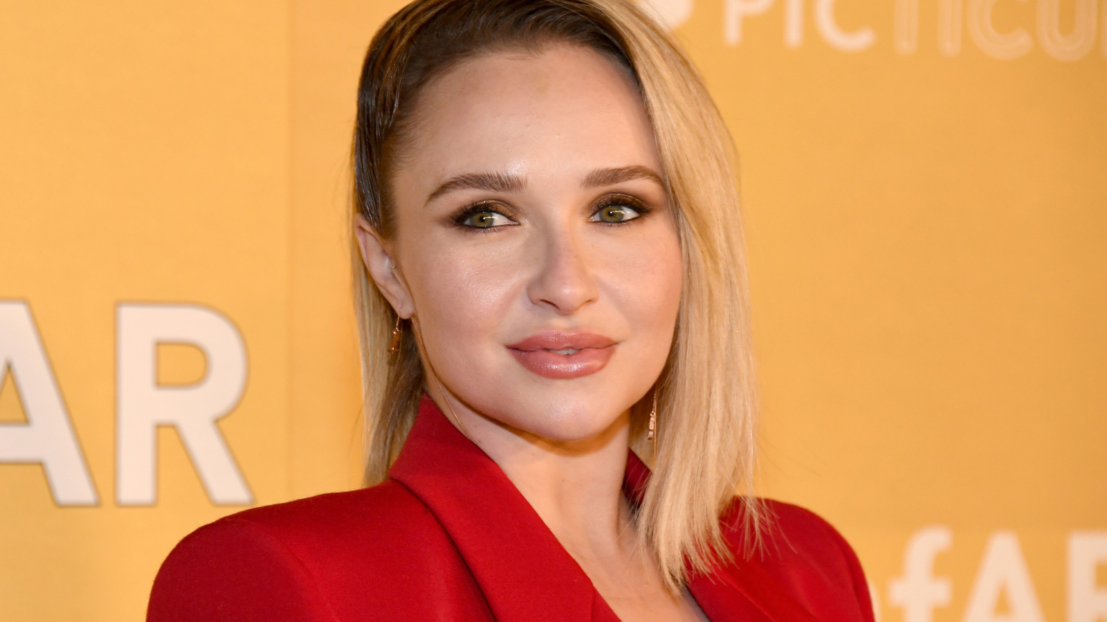 5 Best Hayden Panettiere TV Shows, Ranked