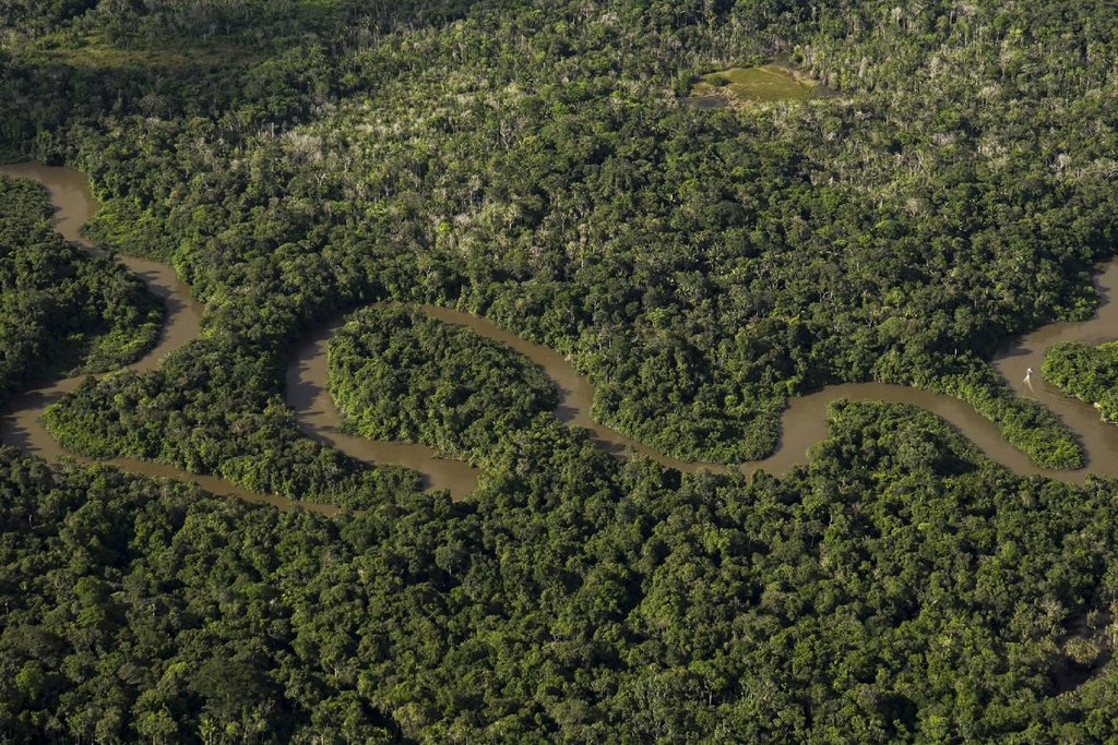 Colombia Receives US$22.4 Million in International Support to Protect the Amazon